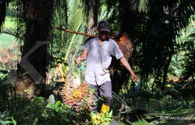 Upaya memperkuat kemitraan petani kelapa sawit di tengah persaingan global