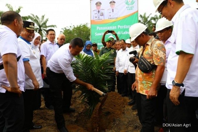 Petani mitra Asian Agri di Sumatera Utara lakukan peremajaan sawit