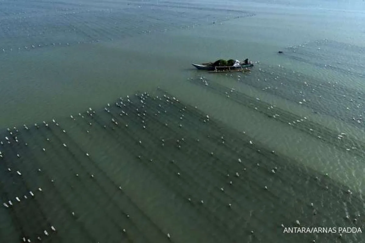 PNBP Pengelolaan Ruang Laut Capai Rp 325 Miliar