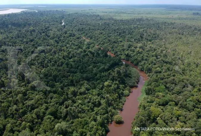 Indonesia ends deforestation pact with Norway, citing non-payment