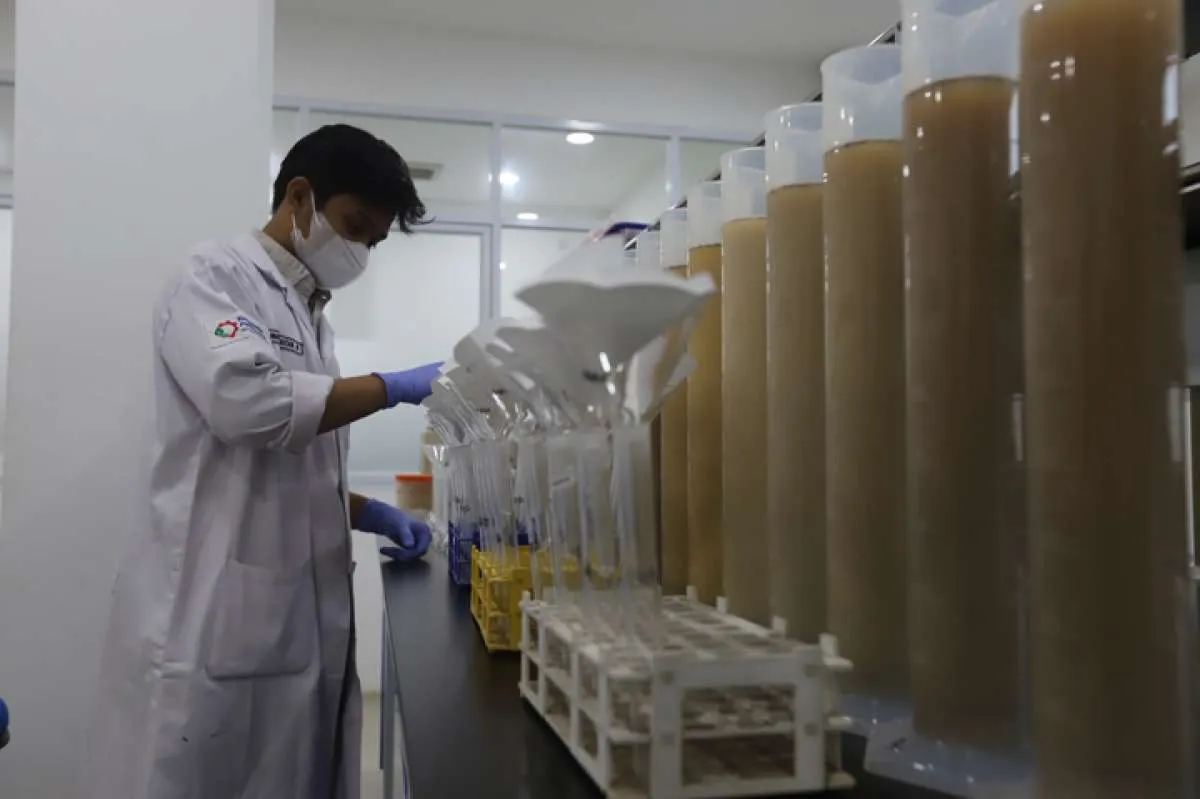 Menakar Prospek Mutuagung Lestari (MUTU), Perusahaan Jasa TIC yang Siap IPO 