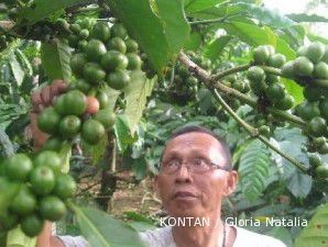 Harga dunia rendah, ekspor kopi anjlok 65,38%