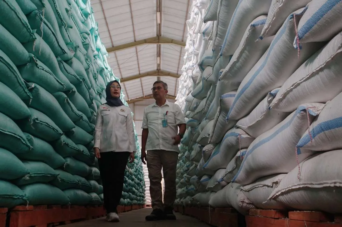 BPS Ungkap Ironi Harga Beras Naik, Tapi Kesejahteraan Petani Justru Makin Tertekan