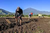 Prakiraan Cuaca NTB dan NTT Hari Ini (26/5): Mataram Berawan, Kupang Cerah Berawan
