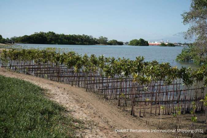 Pertamina International Shipping Tanam 10 Ribu Pohon Mangrove, Jaga Ekosistem Pesisir