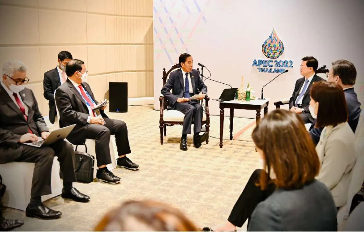 Jokowi dan Chief Executive Hong Kong Bahas Isu Perdagangan Hingga Perlindungan WNI