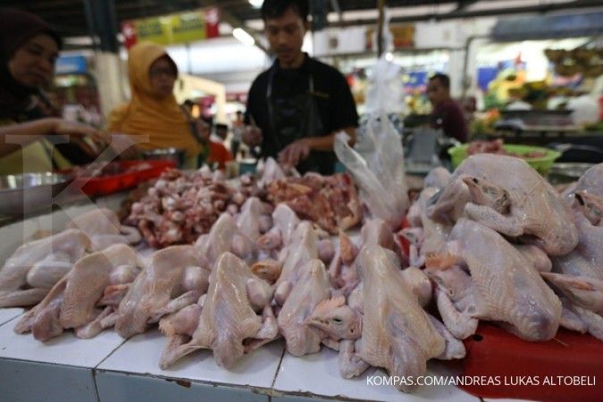 Pasokan ayam kampung di bawah permintaan pasar