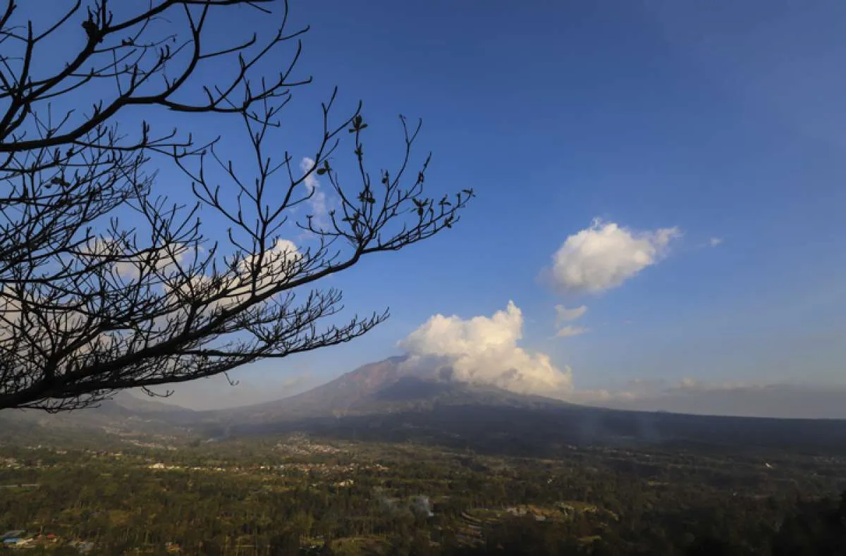 BPBD Kabupaten Magelang antisipasi kebakaran vegetasi di lereng Gunung Merapi