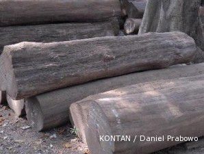Lelang kayu di iPasar pada awal Maret naik 63,44%