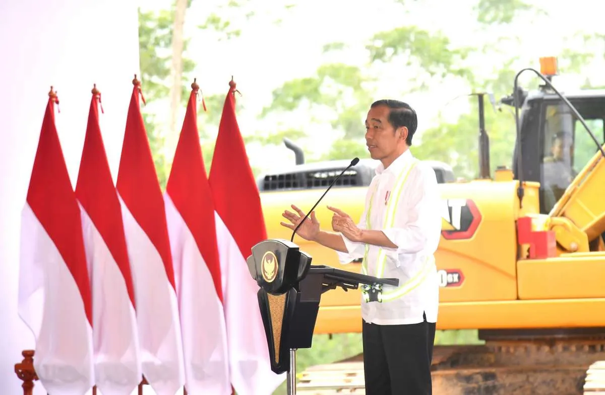 Presiden Jokowi: Belum Ada Investasi Asing Masuk ke IKN