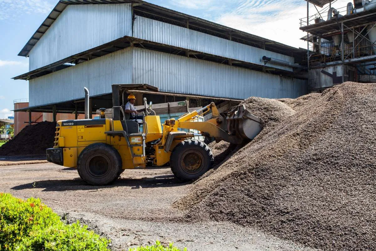 Potensi Ekonomi Limbah Sawit Sangat Besar, Bisa Mencapai Rp 28 Triliun per Tahun