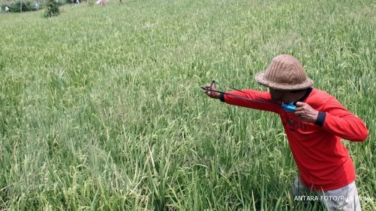 Lahan pertanian menyusut, SBY dinilai ingkar janji