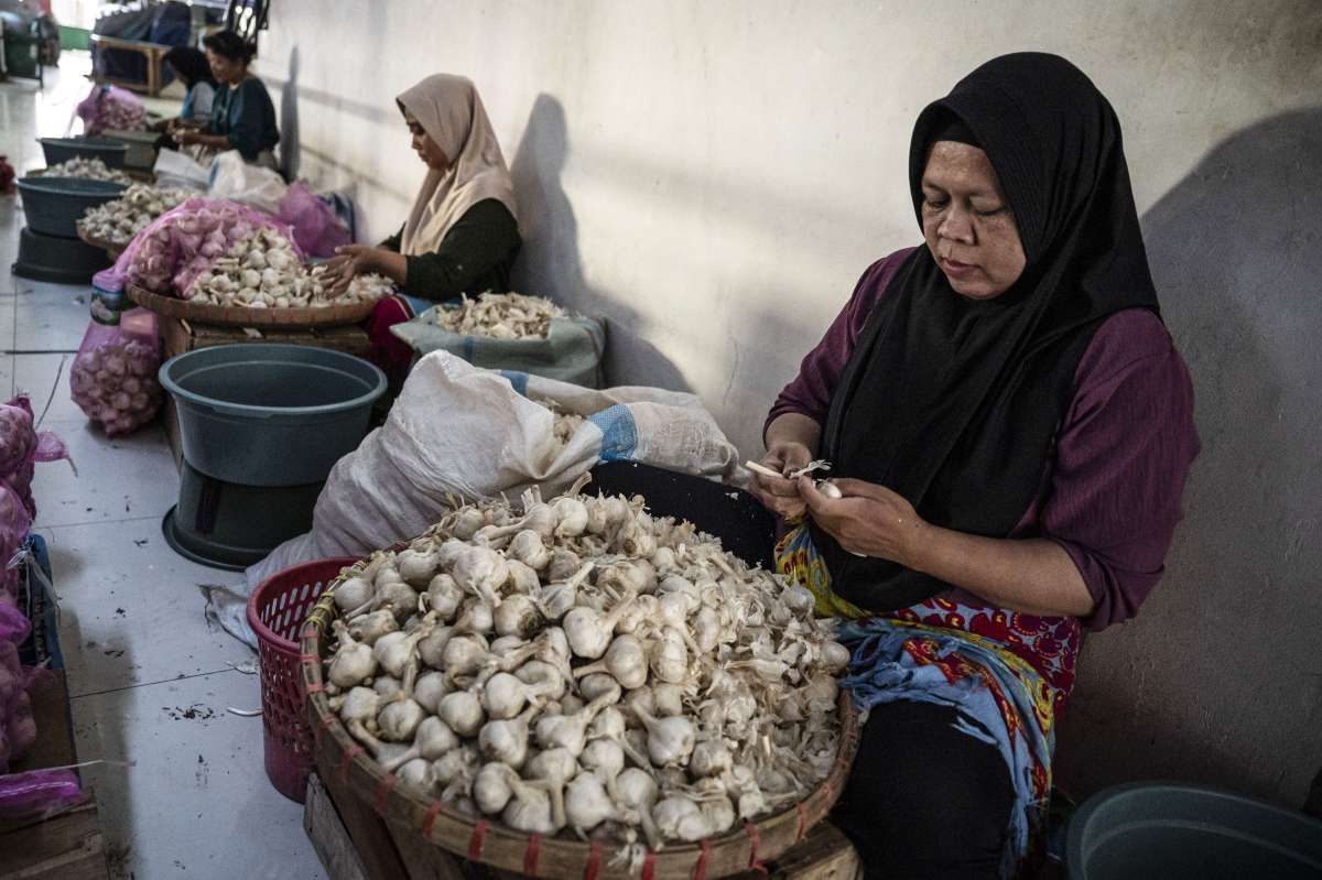 Pengupas Bawang dalam Lensa Onion Paradox