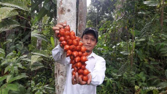 Upaya Muhammad Hanif melestarikan tanaman buah khas Kalimantan (3)