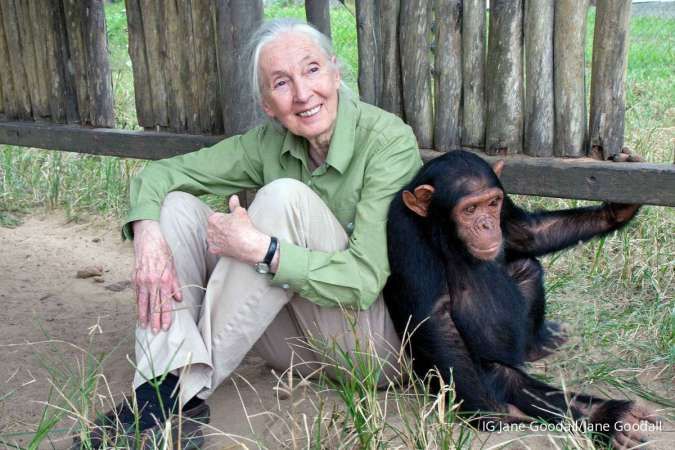Profil Jane Goodall, Sang Primatolog yang Tutup Usia pada 91 Tahun