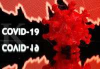 Tempo Scan Pacific sumbang Rp 10 miliar ke LBM Eijkman untuk perkuat laboratorium