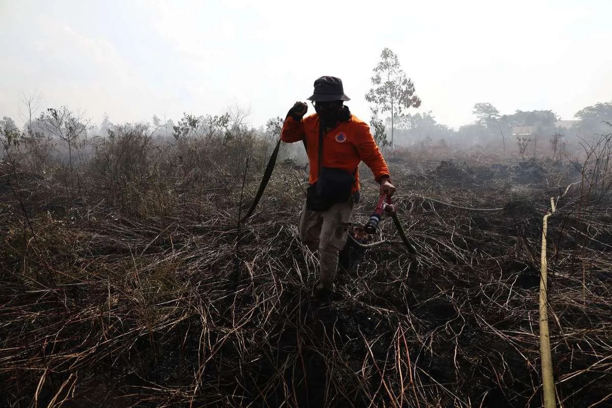 Memasuki Puncak Kemarau, Karhutla Merebak di Aceh hingga Jawa Barat