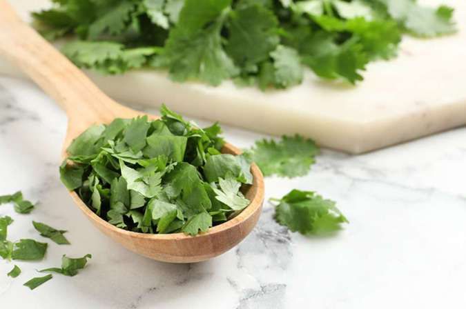 10 Khasiat Daun Ketumbar untuk Kesehatan yang Jarang Diketahui