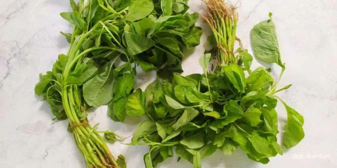 7 Alasan Bayam Sayuran Hijau Terbaik untuk Dikonsumsi