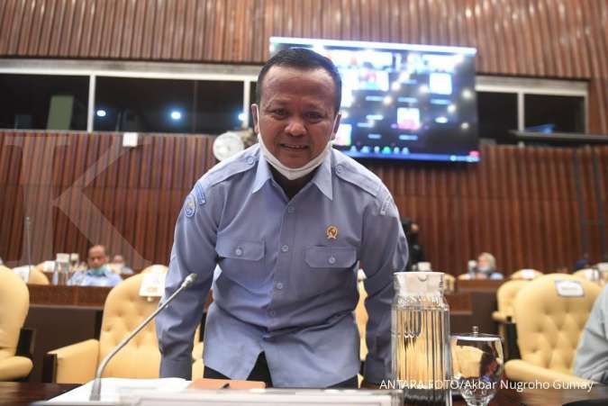Ada pandemi, Menteri Edhy: Ini kesempatan Indonesia rebut pasar udang Vaname