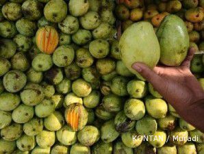 Cuaca membaik, ekspor buah terdongkrak 