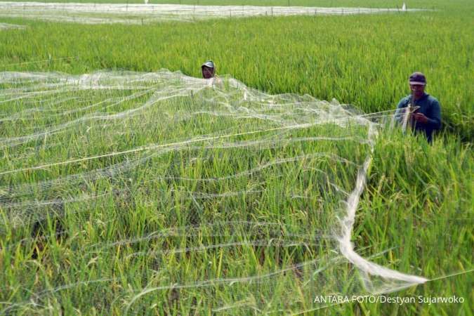 Ucapan Krida Pertanian 2026, Mari Apresiasi Pahlawan Pangan Indonesia