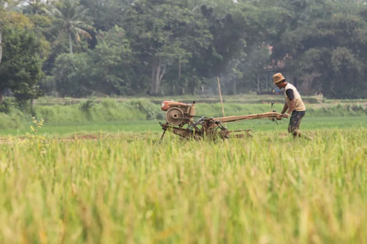 Kementan gelar sertifikasi kompetensi terhadap 75 calon penyuluh pertanian