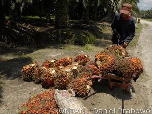 LSIP Tuntas Jual Saham Simpanan