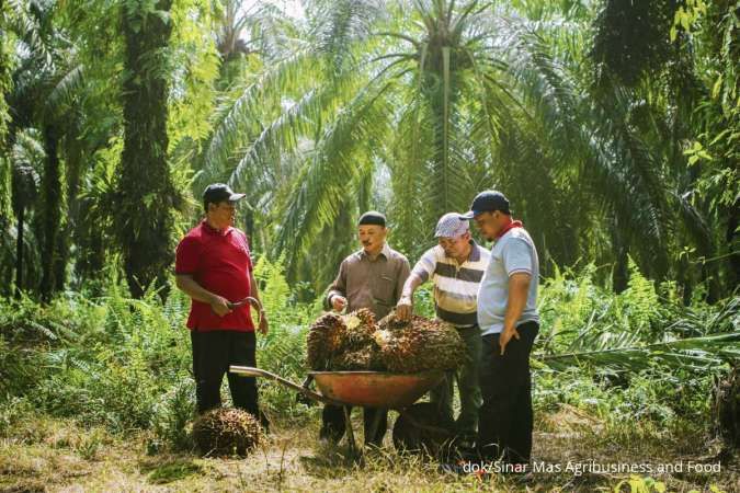 Kisah Sukses Peremajaan Kelapa Sawit oleh Siti Marfuan Petani dari Sumatra Selatan 