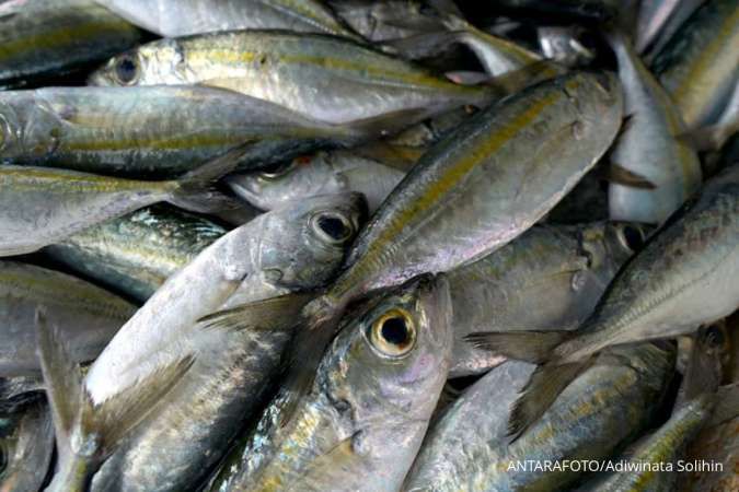 Jangan Sampai Salah Pilih! Ini Ikan Berlemak untuk Menurunkan Kolesterol Jahat