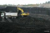 Moody's Ratings Pangkas Outlook BYAN