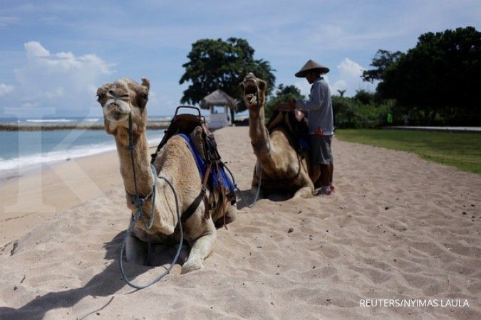 Alasan Raja Salman perpanjang liburan di Bali 