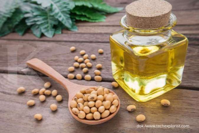 Ketahui Manfaat Soybean Oil untuk Perawatan Kecantikan Kulit