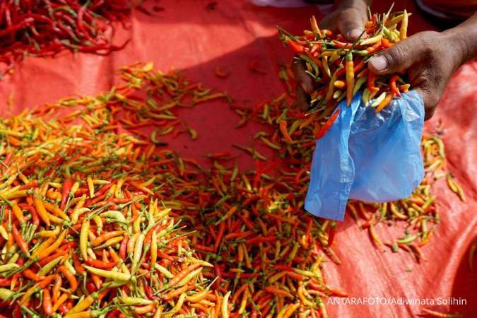 Harga Pangan Terkini di Gorontalo, 1 November 2024: Harga Cabai & Minyak Goreng Turun