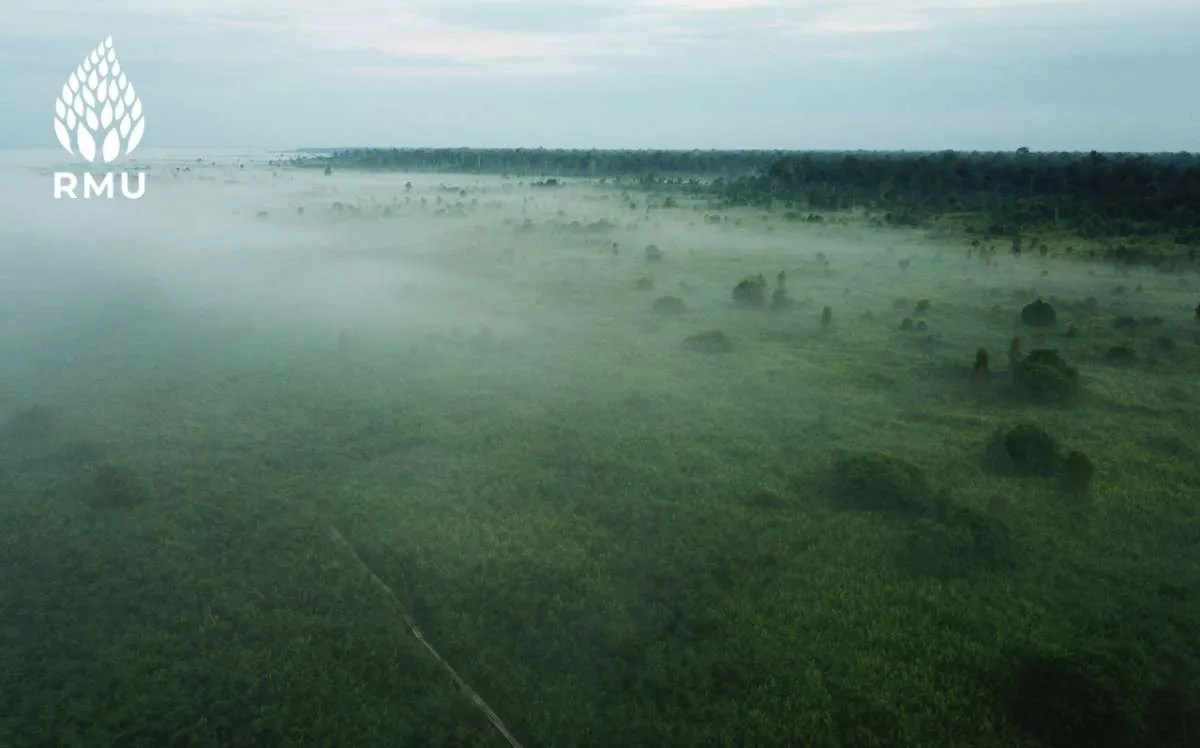 Rimba Makmur Utama (RMU) Bermitra Dengan Warga Katingan Kalteng Kelola Hutan Desa