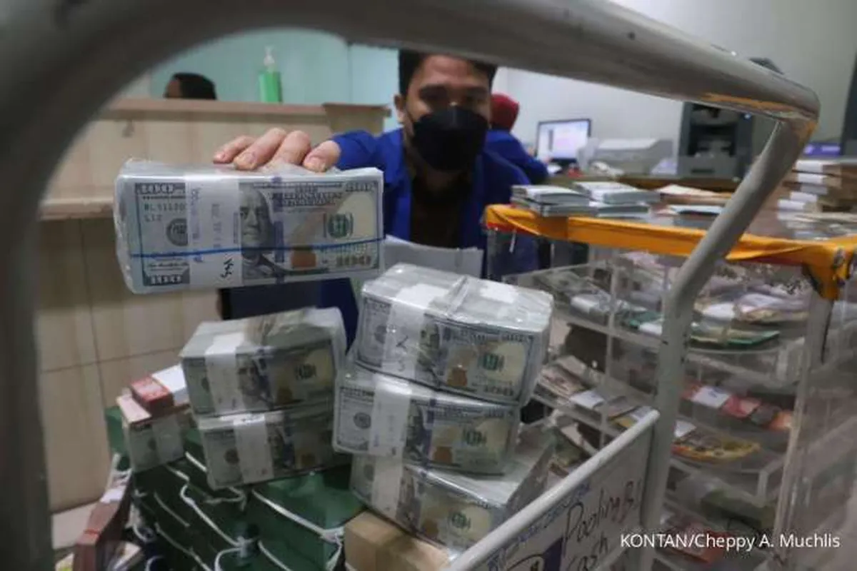 Cadangan Devisa Turun, Ekonom: Perlu Sinergi Pemerintah dan Bank Indonesia