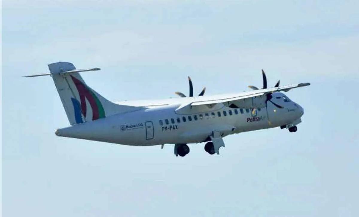 Dirjen Perhubungan Udara sebut Pelita Air hanya akan menerbangi rute domestik