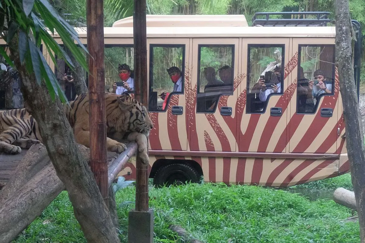 Kadin menyebut stimulus untuk industri pariwisata minim