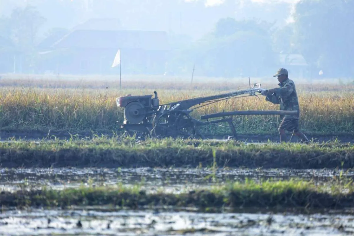 Pengembangan industri pertanian dan manufaktur ampuh menekan kemiskinan