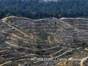 Petani Meranti tuntut pencabutan izin penggunaan hutan