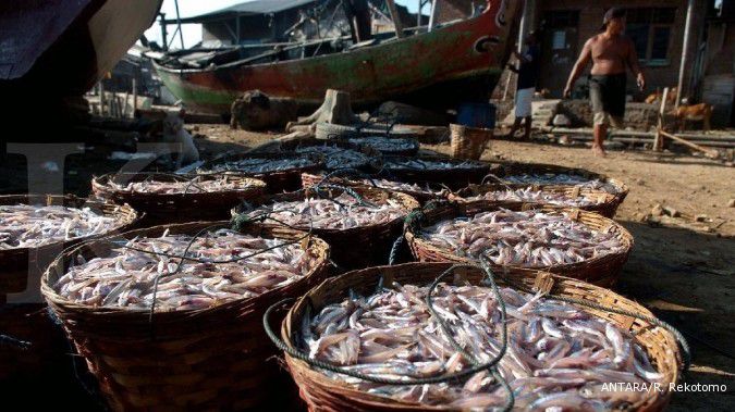 KKP targetkan produksi perikanan mencapai 38,3 juta ton di 2019
