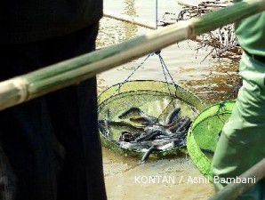 Pasar ikan Sidat seharga Rp 300 ribu/kg kian ramai