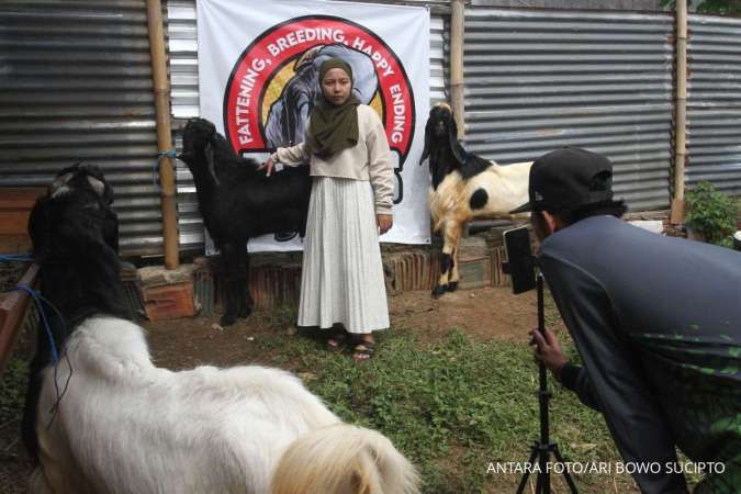 Daftar Harga Kambing Kurban Idul Adha 2025 di Jakarta Terbaru