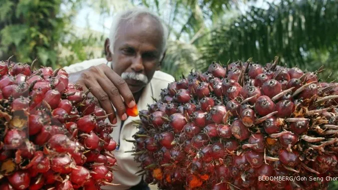 Medan to host annual palm oil conference