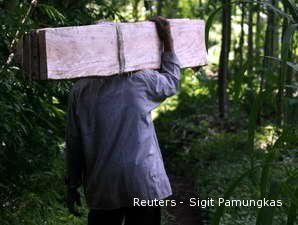 Presiden Perintahkan Aparat dan Satgas Ungkap Mafia Illegal Logging