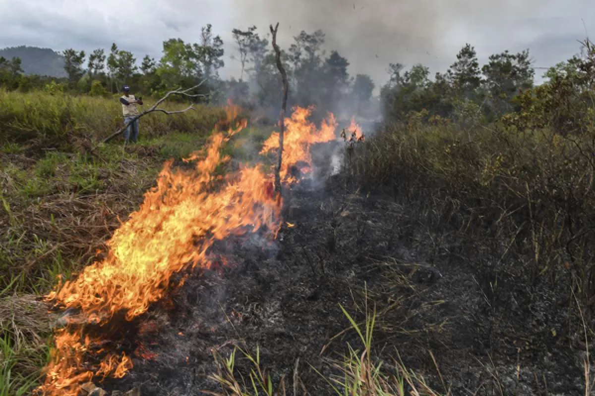 KLHK bersama BPPT lakukan rekayasa hujan untuk cegah karhutla di puncak musim panas