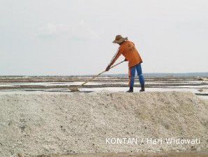 Petani bergairah, hasil panen garam melimpah