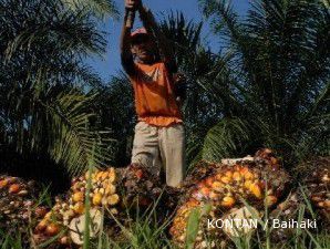 Kemhut Usut Tiga Perusahaan Sawit 