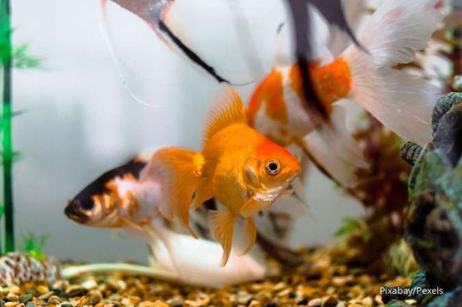 Ini 4 Benda yang Bisa Bikin Karier Anda Sukses