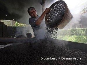AEKI bantah kenaikan produksi kopi Indonesia